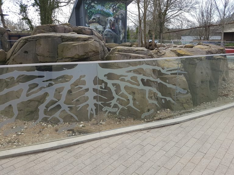 Grafisk Design til Odense Zoo